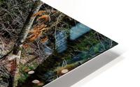 Creek HD Metal print