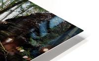 Long falls HD Metal print