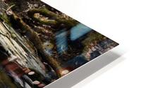 Creek HD Metal print