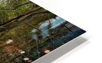Faces in the woods HD Metal print