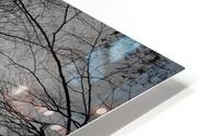 Reflecting HD Metal print