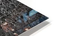 RabbitbyPeartree HD Metal print