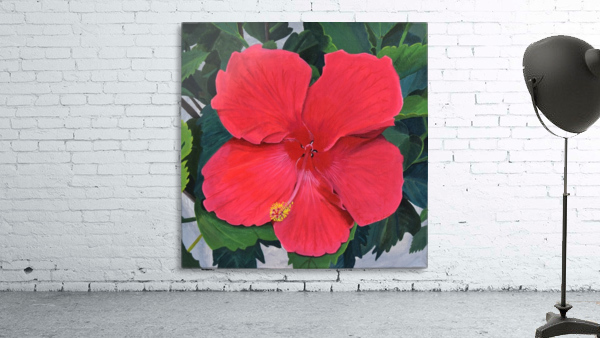 hibiscus Wall Preview