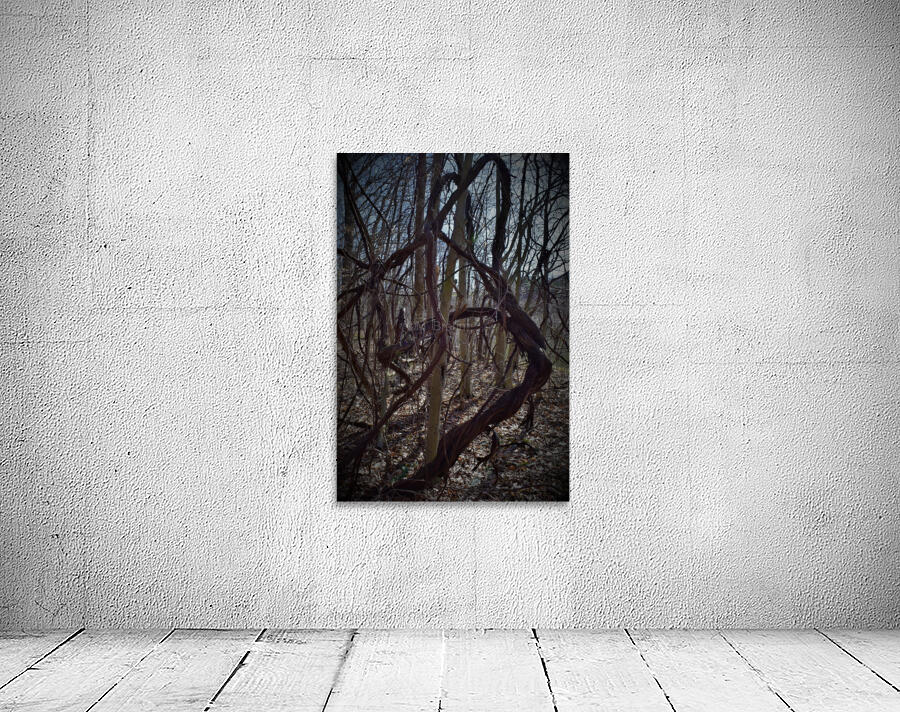 Dancing vines3 Wall Preview