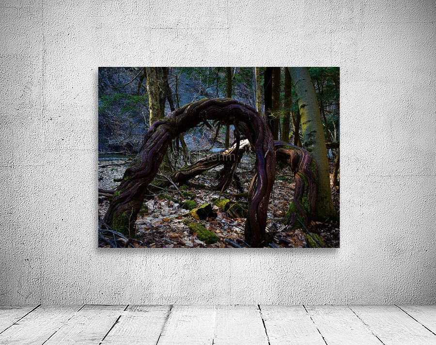 Dancing vines2 Wall Preview