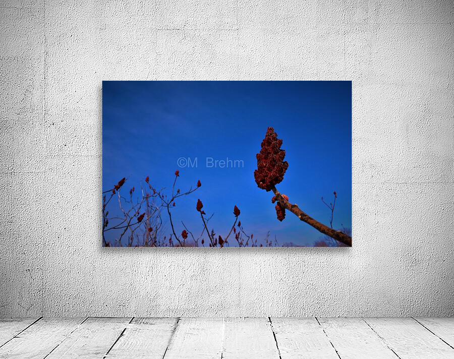 Sumac Wall Preview