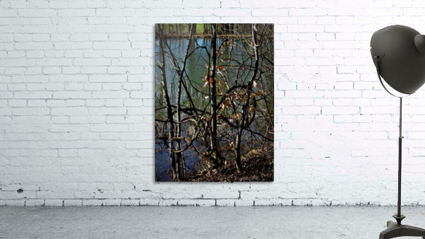Spring pond Wall Preview