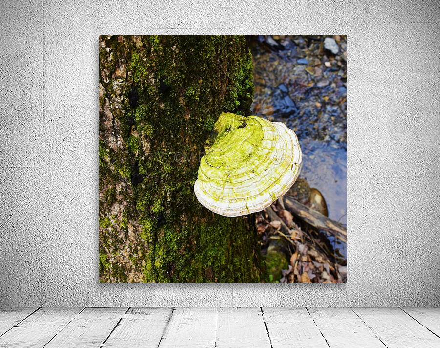 Moss Wall Preview
