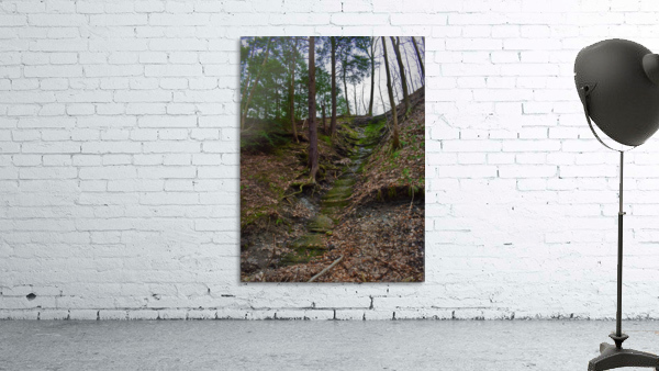 Cliff Wall Preview
