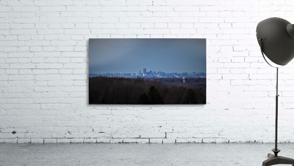 Buffalo Wall Preview