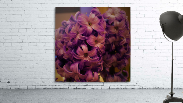 Seeingdouble Wall Preview