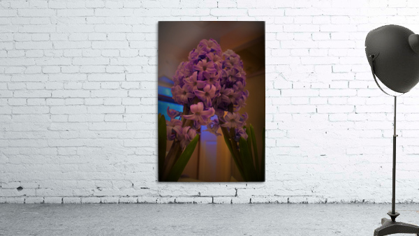 MirrorimageHyacinth Wall Preview