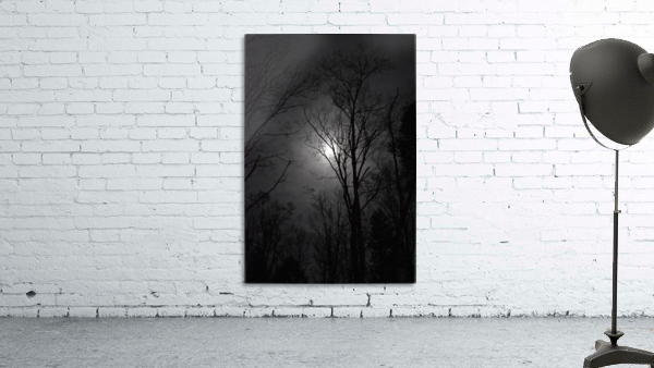 midnight moon Wall Preview