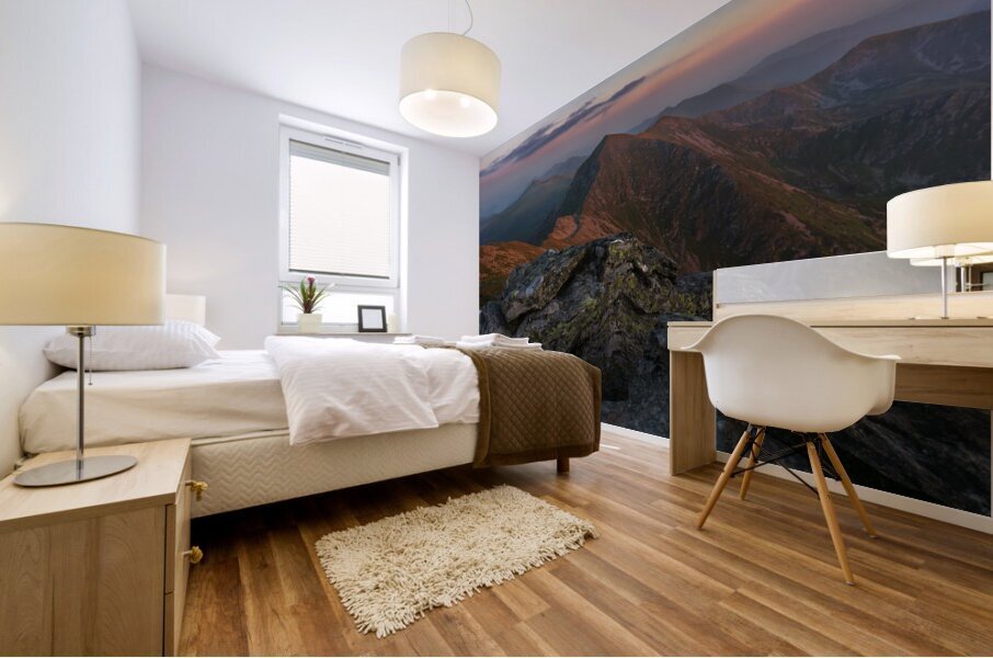 Mountain 1 W Mural print