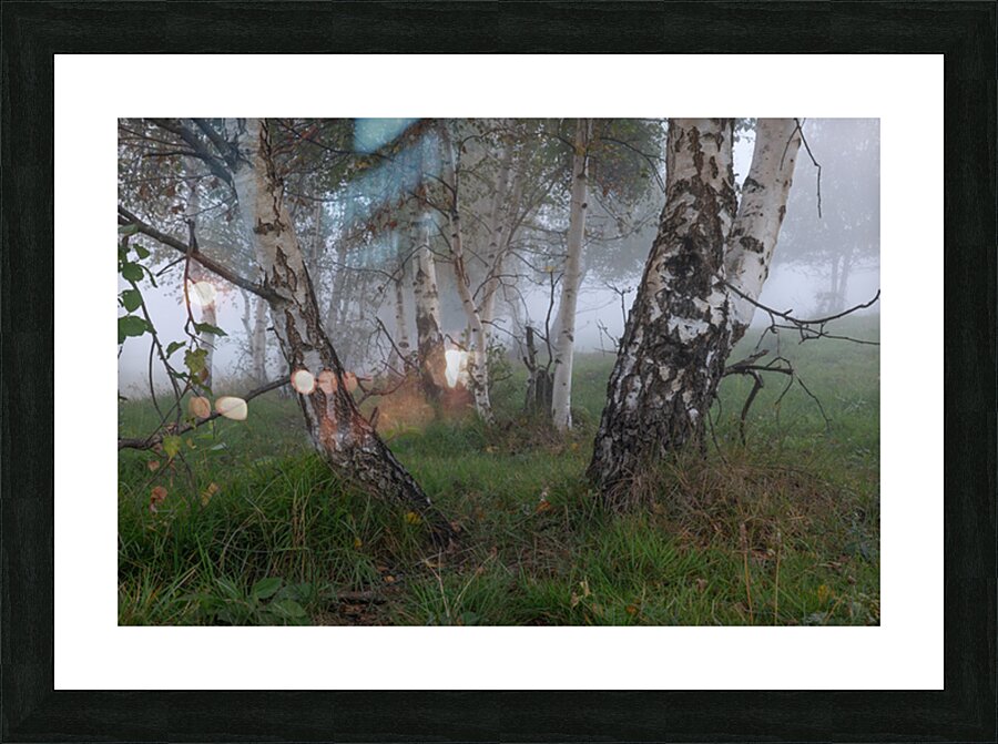 P1036023 Picture Frame print