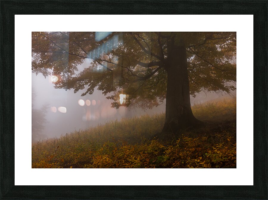 P1038278 2 Picture Frame print