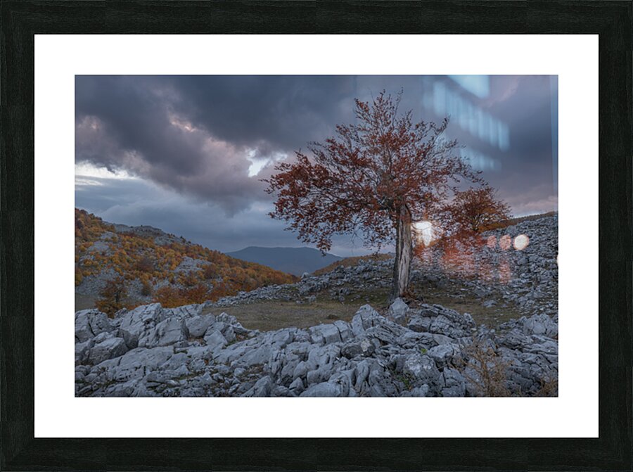 P1037694 Picture Frame print