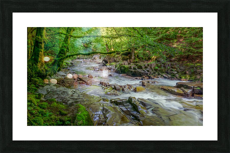 River 2 W Picture Frame print