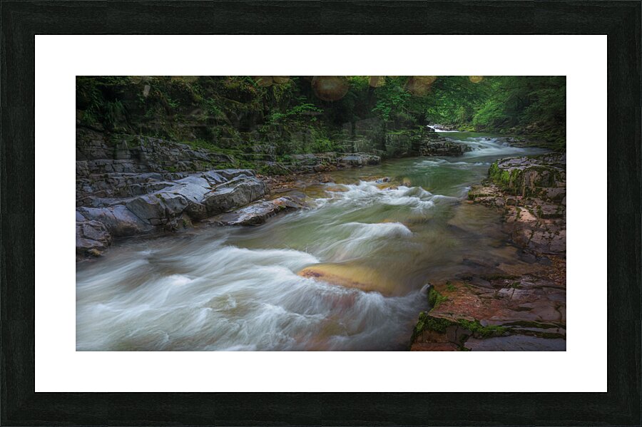 River 1 W Picture Frame print