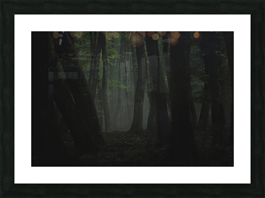 forest 10 Picture Frame print