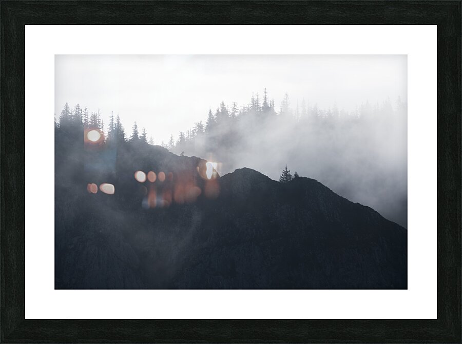 Forest 7 Picture Frame print