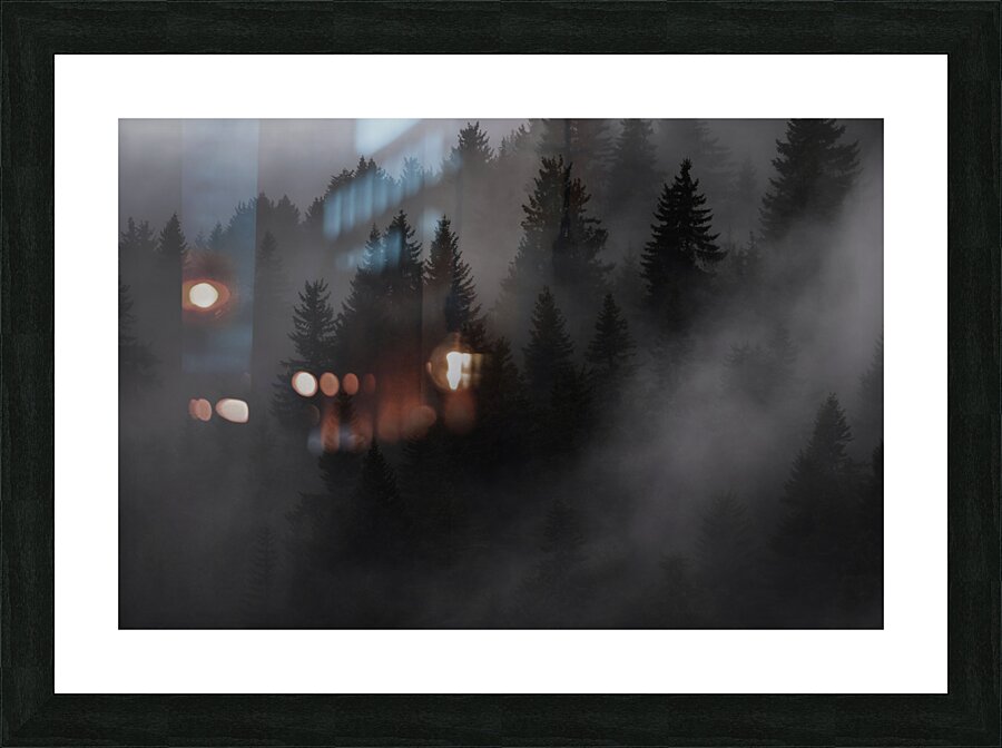 forest 37 Picture Frame print