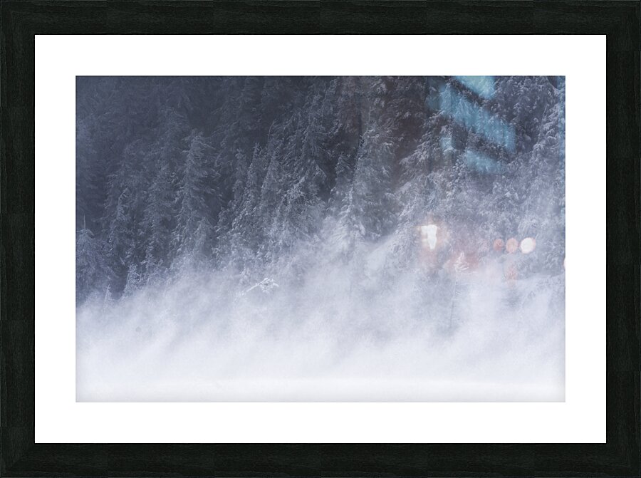 forest 20 W Picture Frame print