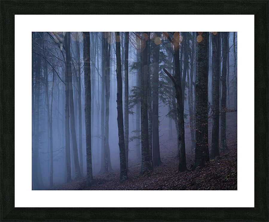 forest 18 W Picture Frame print