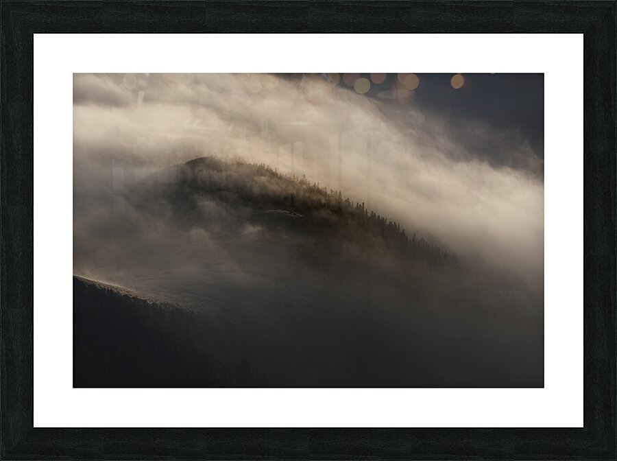 forest 39 Picture Frame print