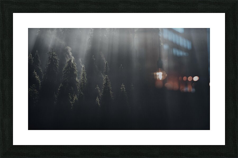 forest 12 W Picture Frame print