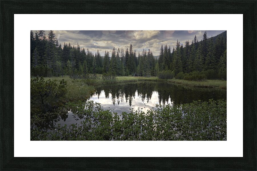 Lake 2 W Picture Frame print