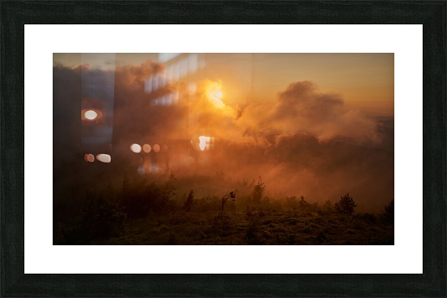 forest 28 W Picture Frame print