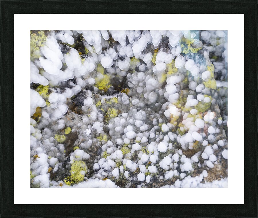 abstract nature 2  Picture Frame print
