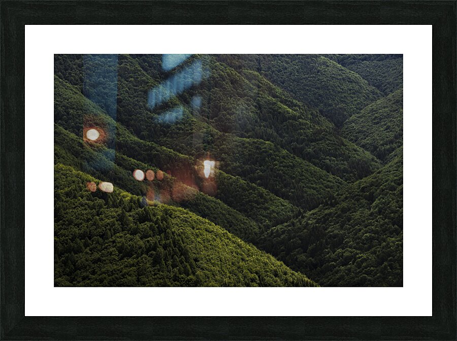 forest 26 Picture Frame print