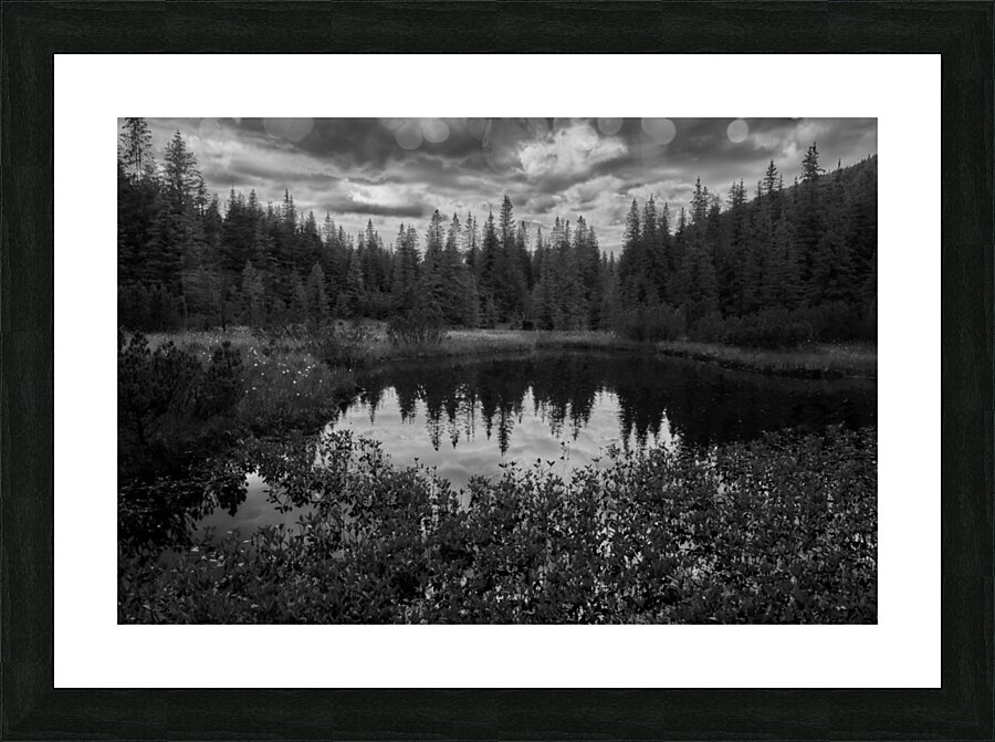 Lake 1 W Picture Frame print