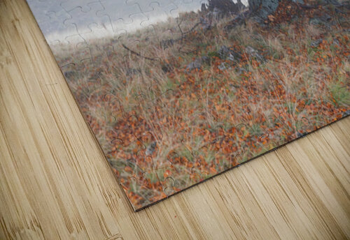 P1037972 Andrei Lazar puzzle