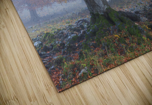 P1037910 2 Andrei Lazar puzzle