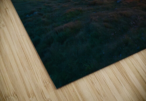 Mountain 4 W Andrei Lazar puzzle