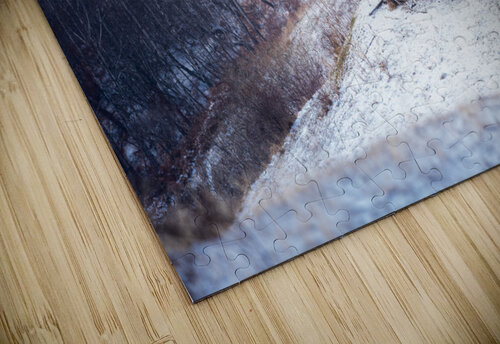 Building 1 Andrei Lazar puzzle