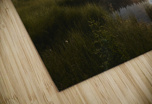Lake 3 Andrei Lazar puzzle