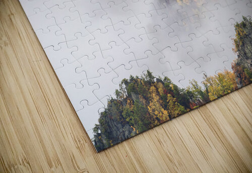 forest 35 W Andrei Lazar puzzle