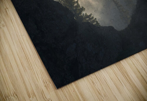 forest 29 W Andrei Lazar puzzle