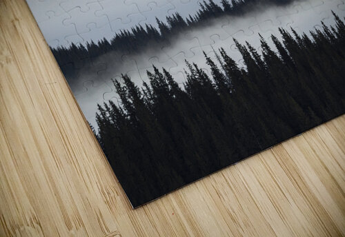 forest 19 W Andrei Lazar puzzle