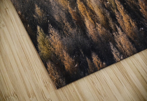 forest 16 W Andrei Lazar puzzle