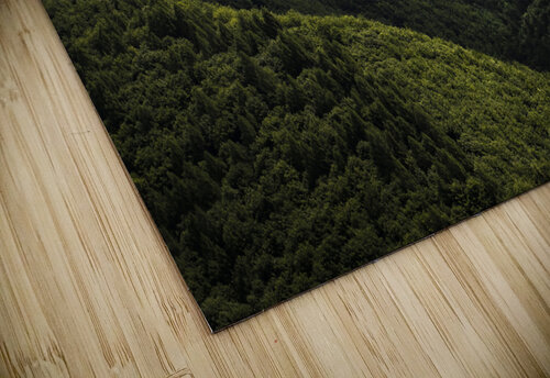 forest 26 Andrei Lazar puzzle