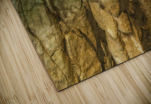 abstract nature 3  Andrei Lazar puzzle