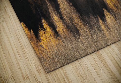 forest 17 Andrei Lazar puzzle