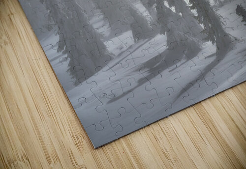 forest 23 W Andrei Lazar puzzle