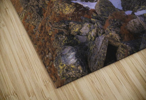 Mountain 41 W Andrei Lazar puzzle