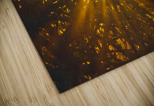 Light 3 Andrei Lazar puzzle